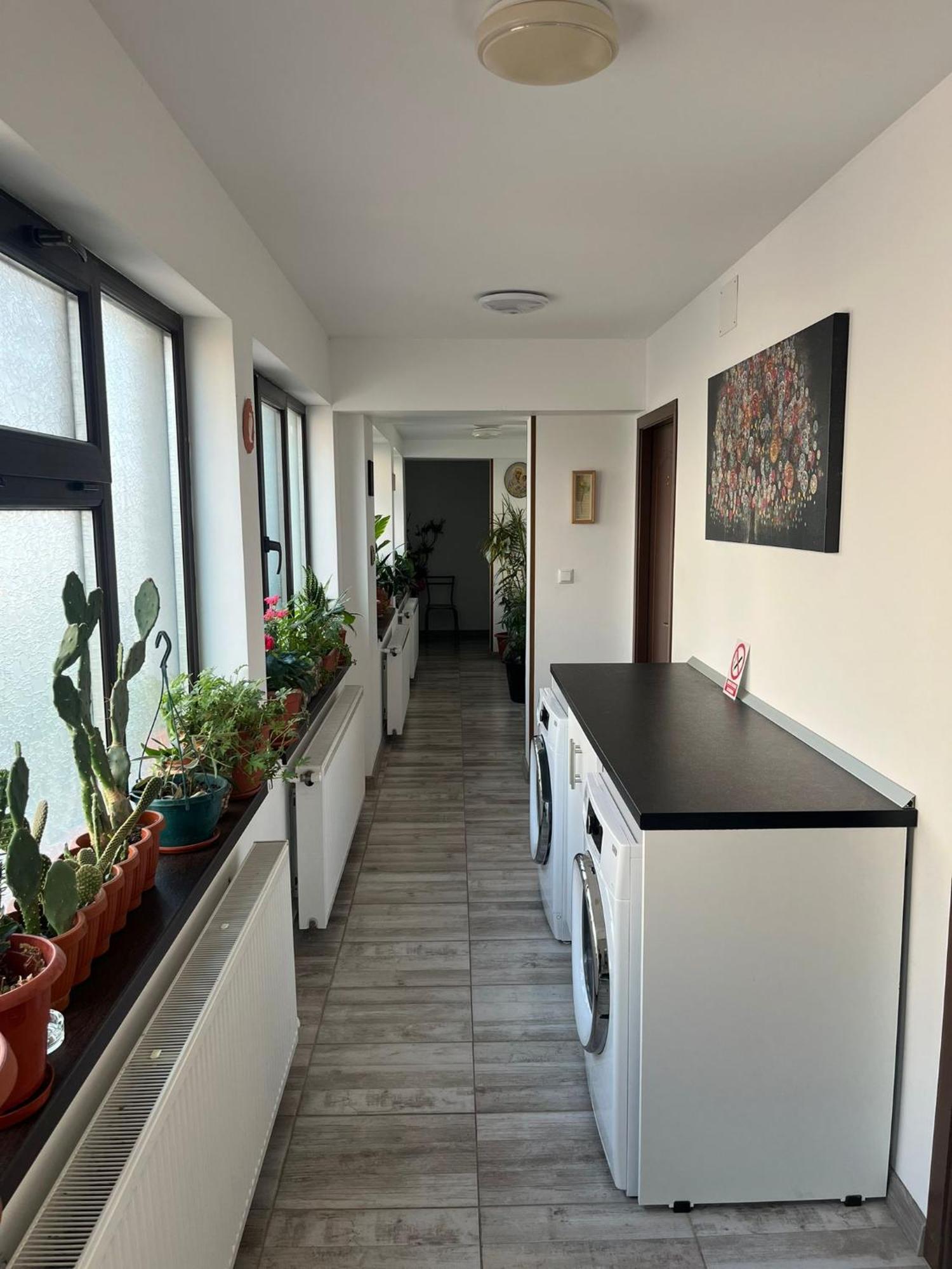 Solaria Budget Studio Galati  Ngoại thất bức ảnh
